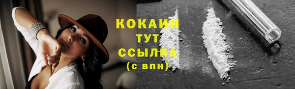 гашик Аркадак
